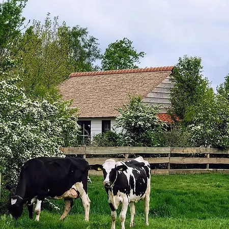 Mariahoeve-logies #boerenhuis Farm stay Woubrugge
