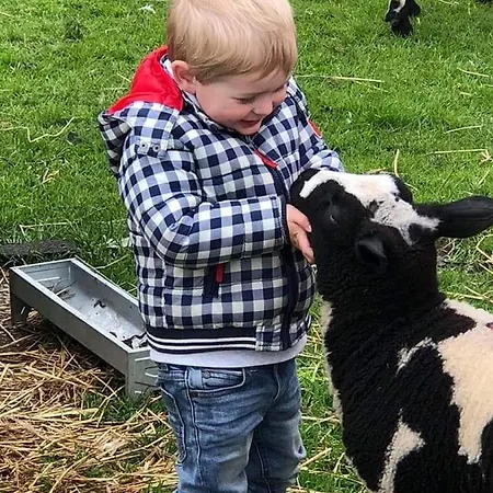 Mariahoeve-logies #boerenhuis * Woubrugge