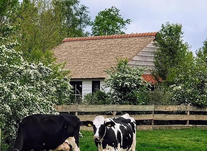 Mariahoeve-logies #boerenhuis Séjour à la ferme Woubrugge