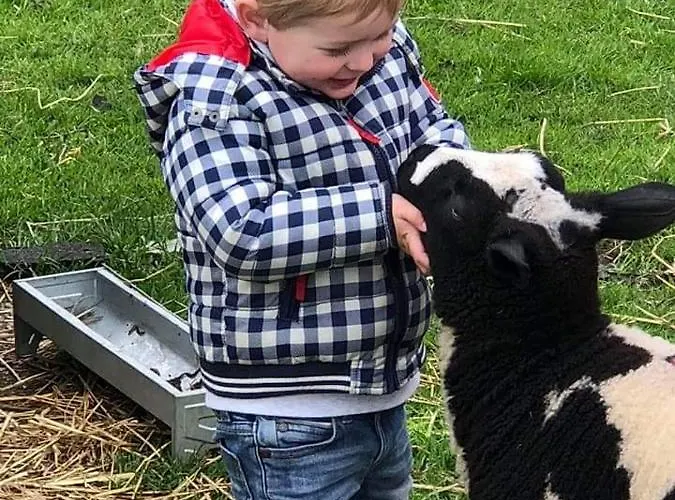 Mariahoeve-logies #boerenhuis * Woubrugge